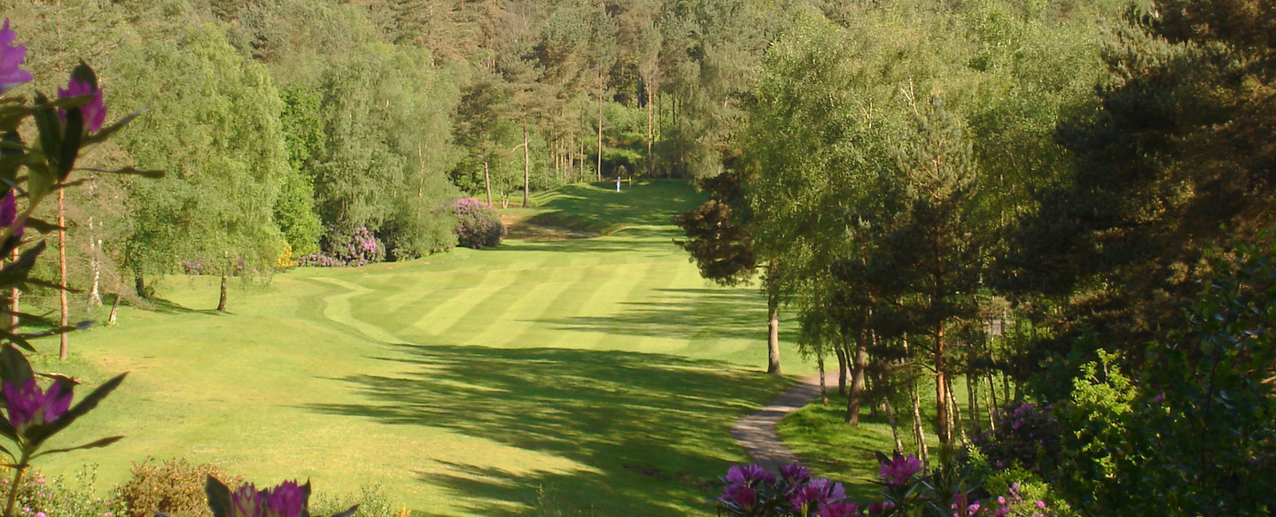 Old Thorns Manor Hotel, Golf & Country Estate