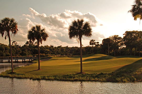 Osprey Point
