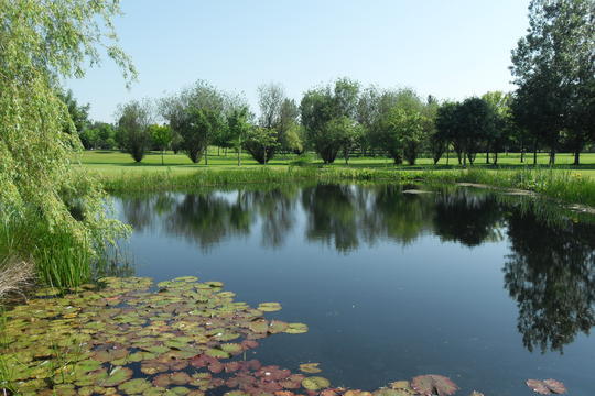 Dudsbury Golf Club Hotel & Spa