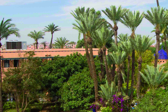 Hotel Riu Tikida Garden