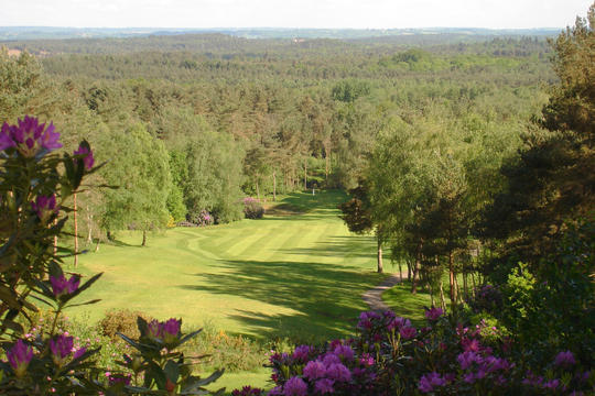 Old Thorns Manor Hotel, Golf & Country Estate
