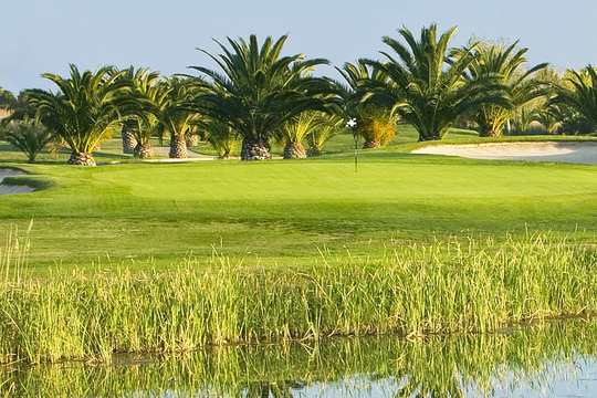 Oceanico Laguna Course