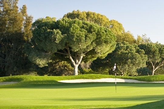 Oceanico Millennium Course