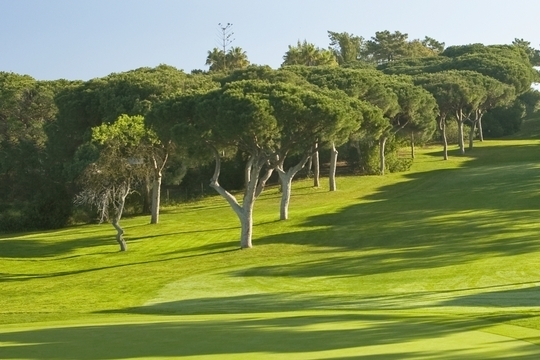 Oceanico Old Course