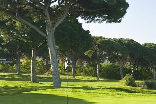 Oceanico Pinhal Course