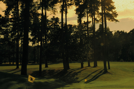 Forest Pines Hotel & Golf Resort
