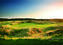Thumb_136