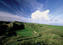 Thumb_274