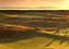 Thumb_335