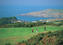 Thumb_381