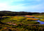 Thumb_881